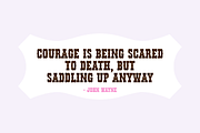 COWGIRLS Fancy Western Rodeo Font, a Serif Font by Blush Font Co. (Thumbnail 4 of 6)