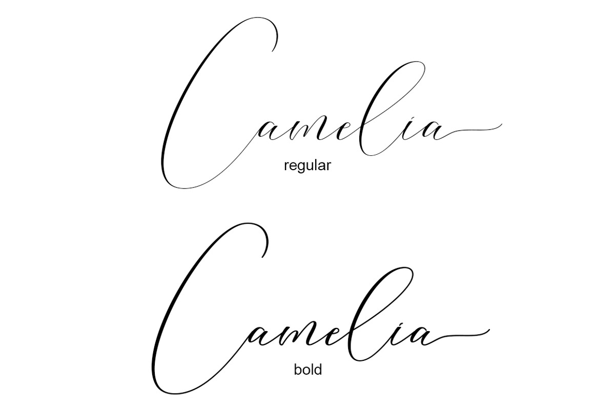 Washington Calligraphy Modern, a Script Font by Teweka (Photo 9 of 19)
