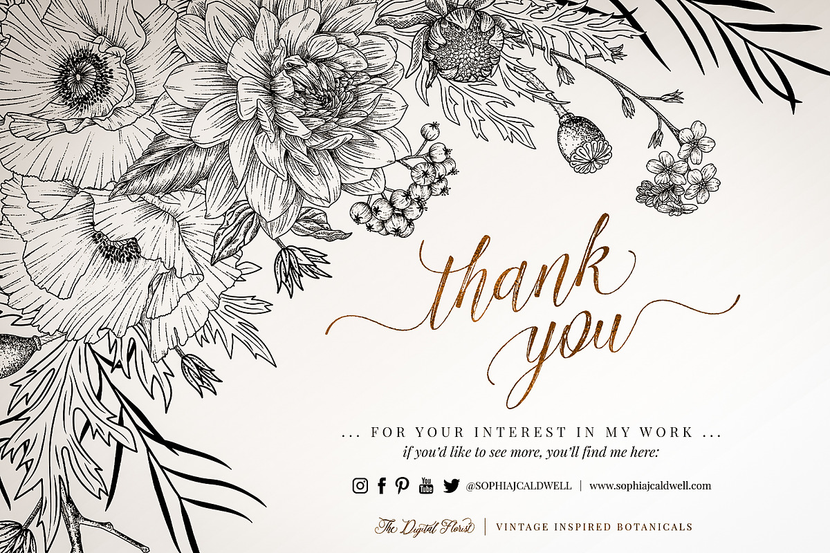 The Digital Florist Vintage Garden, an Illustration by Sophia J Caldwell (Photo 16 of 20)