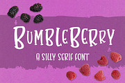 Bumbleberry - a silly serif font, a Serif Font by Little Type Factory (Thumbnail 1 of 8)