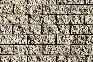 Brick Wall High Contrast, a Background Photo by THP Creative