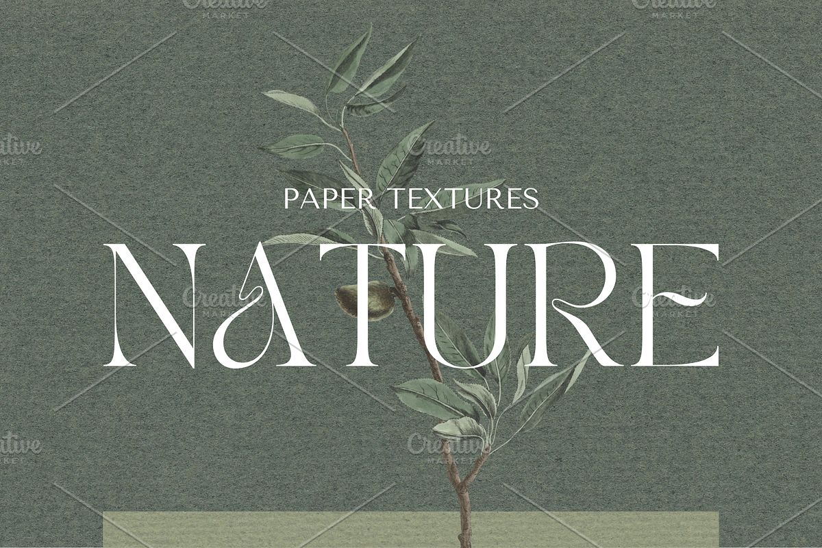 Paper Textures: Nature, a Background Photo by The Design Toolkit (Photo 1 of 4)