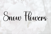 Wonderful Snowing, a Handwritten Font by FreshTypeINK (Thumbnail 7 of 8)