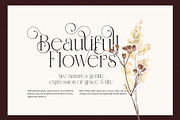 Savira Elegant Serif Font, a Serif Font by Graphicxell (Thumbnail 4 of 8)