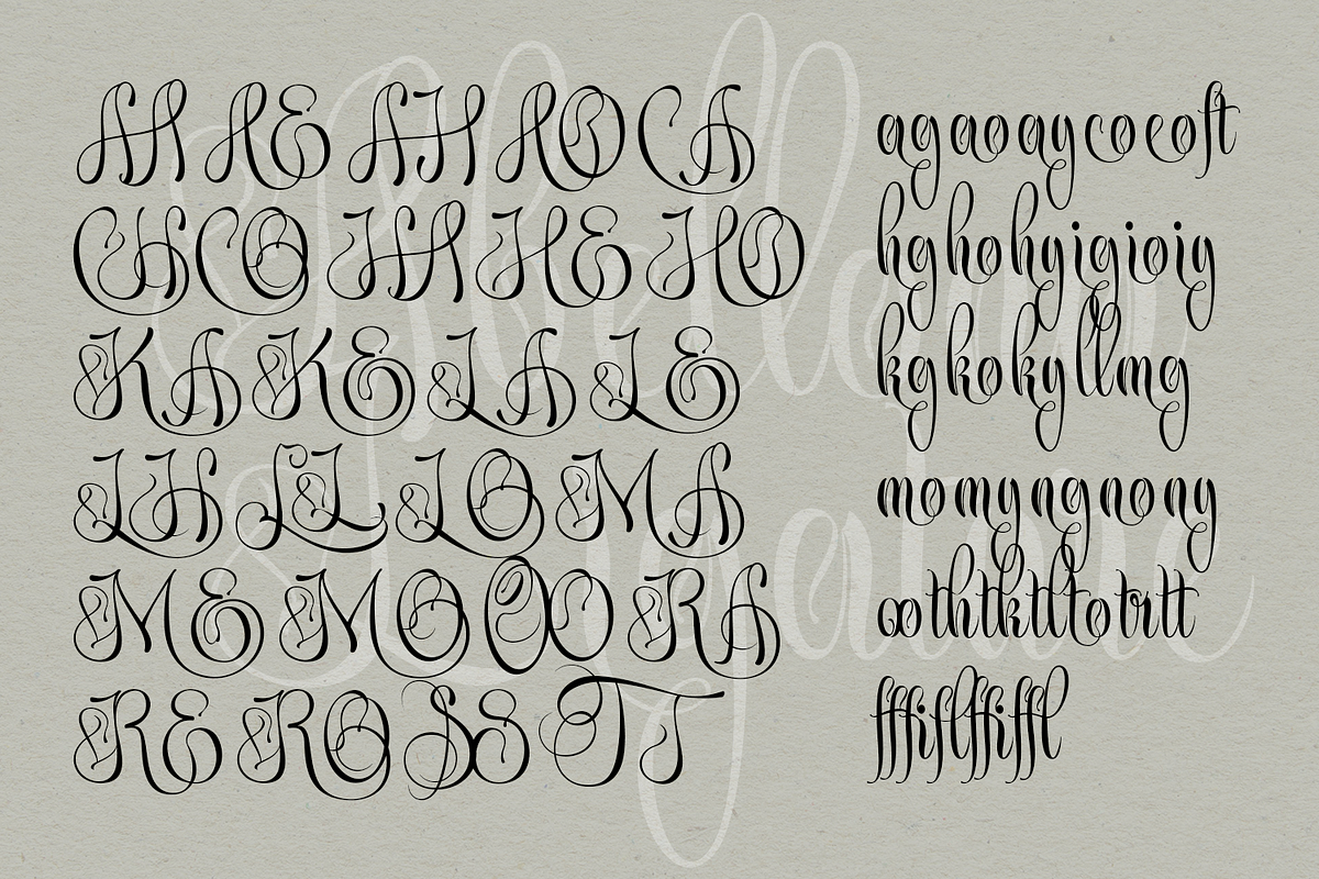 Abellona Script, a Script Font by TypeClassHeroes (Photo 10 of 11)