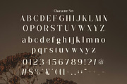 Flarea - Beautiful Serif Font, a Serif Font by Flawless And Co (Thumbnail 9 of 10)