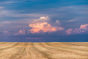 Stubble field after the harvest, an Industrial Photo by Mark Borbely