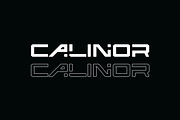 Calinor Pegasus Sans Serif Font, a Sans Serif Font by UICreative (Thumbnail 4 of 11)