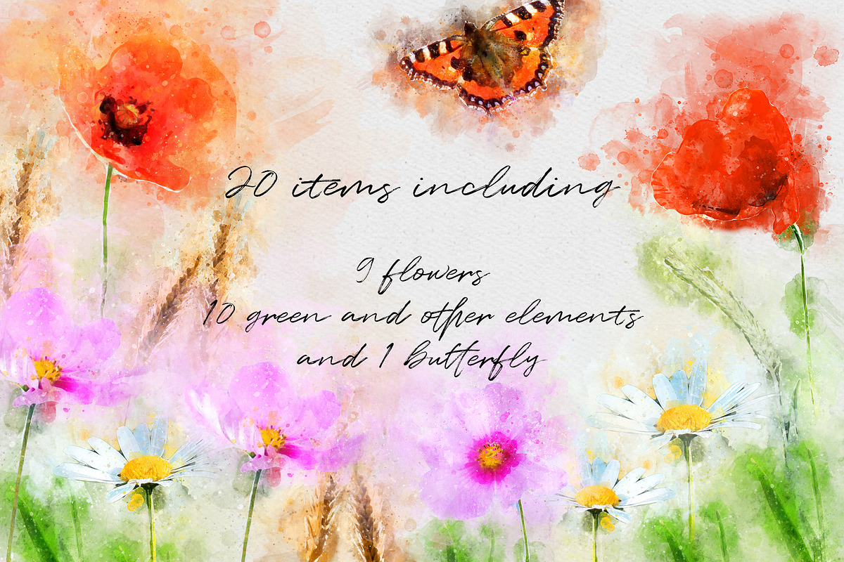 Watercolor Poppies, an Illustration by PaperAndCrayons (Photo 2 of 5)