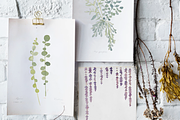 Lavender Farm Graphic Set - Clip Art, an Illustration by DESIGN SPLY (Thumbnail 3 of 5)