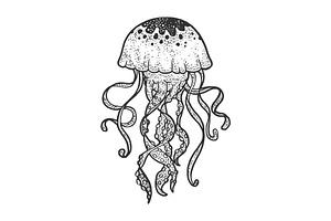 Jellyfish Sketch Vector Illustration