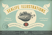 SALE! 100 Sealife Illustrations, an Animal Illustration by Anja Kaiser (Thumbnail 6 of 6)