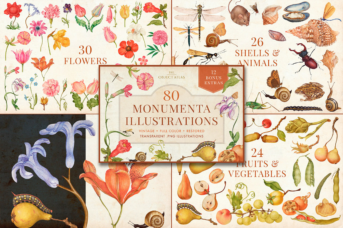 Vintage Bundle – 60% Off! – 21 Packs, an Object Graphic by The Object Atlas (Photo 21 of 26)