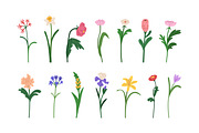 Blossomed flowers, floral plants set, a Decorative Illustration by Good Studio (Thumbnail 3 of 6)