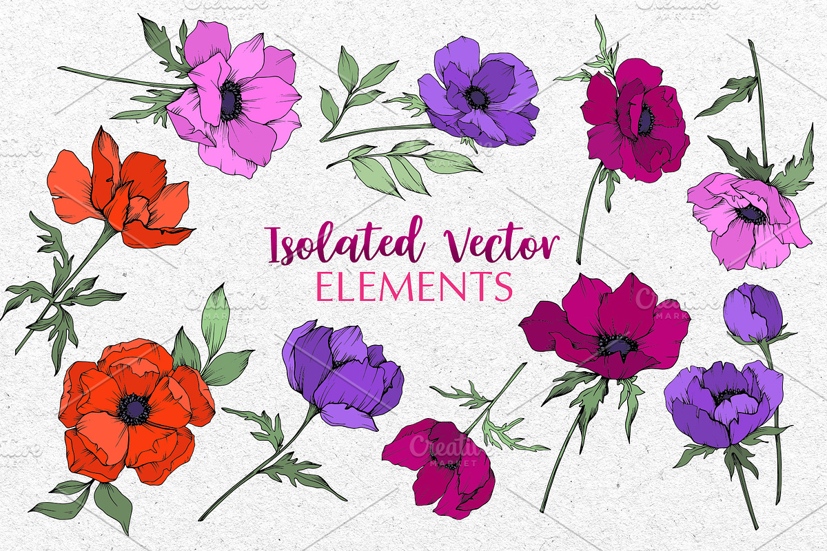 ANEMONE VECTOR SET, an Illustration by WatercolorPNG.com