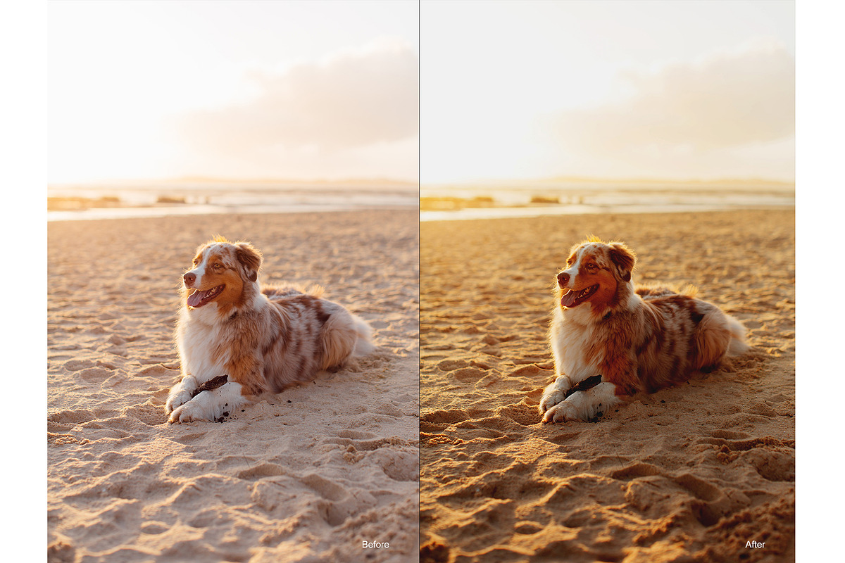 Joselin | Photoshop Actions, an Action Add-On by Filterlate (Photo 6 of 8)