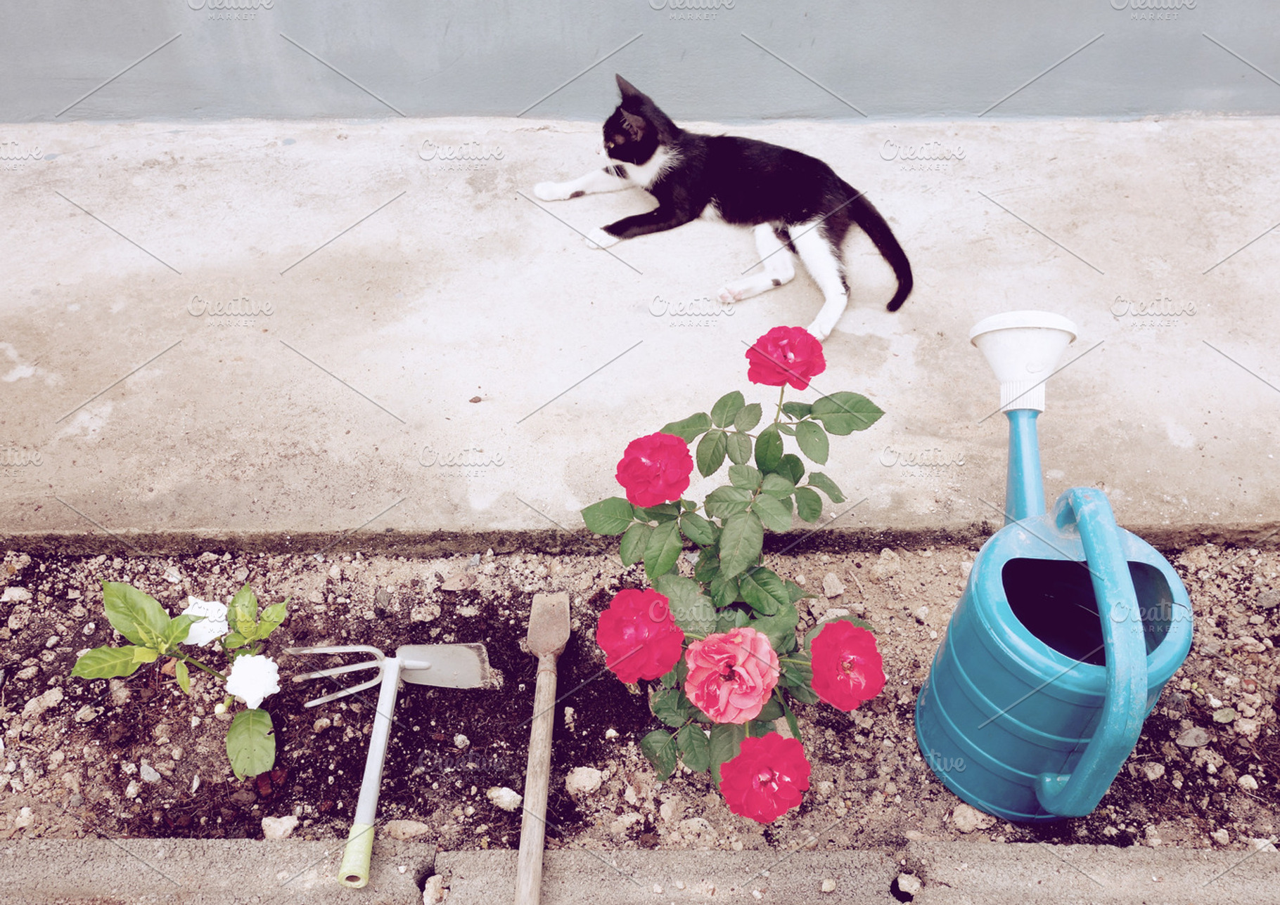 Little Garden With Gardening Tools Containing Rose Garden And Flower
