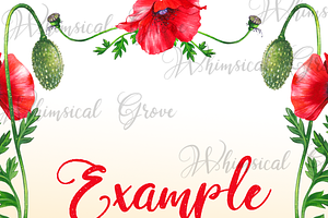 Scarlet Poppy Set 18 Clipart