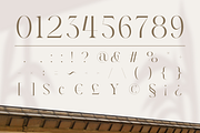 South Hagefen - Luxury Elegant Font, a Serif Font by Randi Irvan | Rvandtype (Thumbnail 11 of 12)