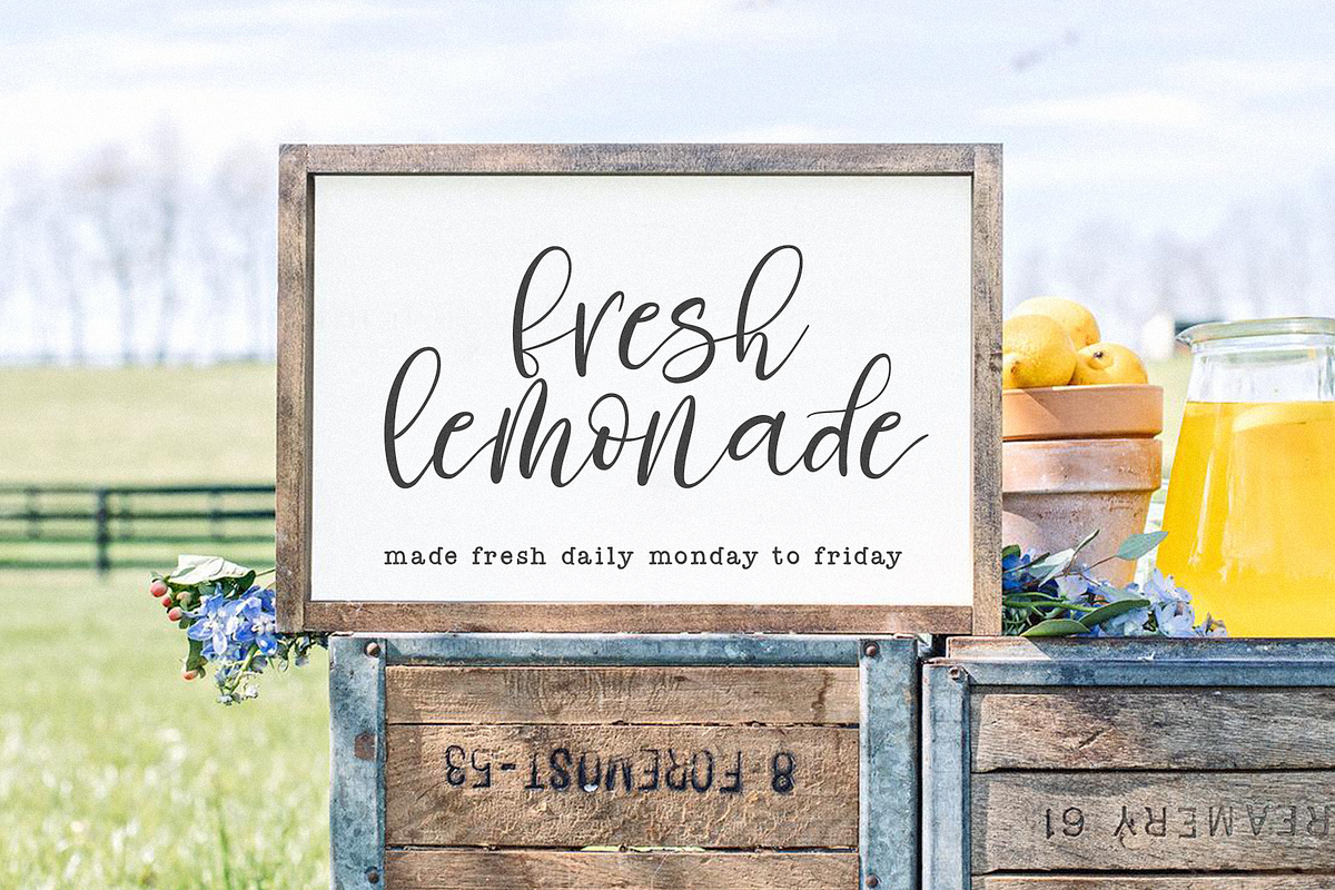 Fresh Daisy | Farmhouse Script Font, a Script Font by KA Designs (Photo 6 of 10)