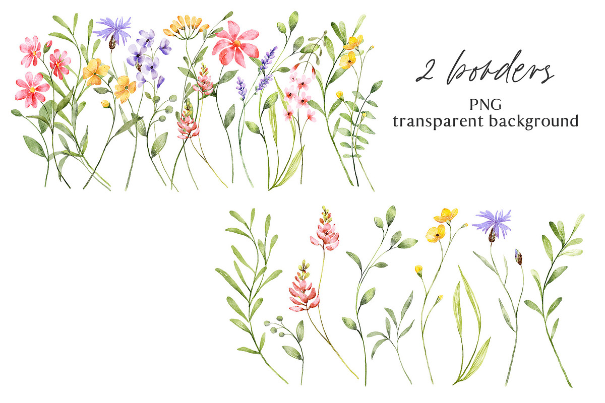 Wild flowers, watercolor clipart PNG, a Decorative Illustration by Larisa Maslova (Photo 6 of 8)