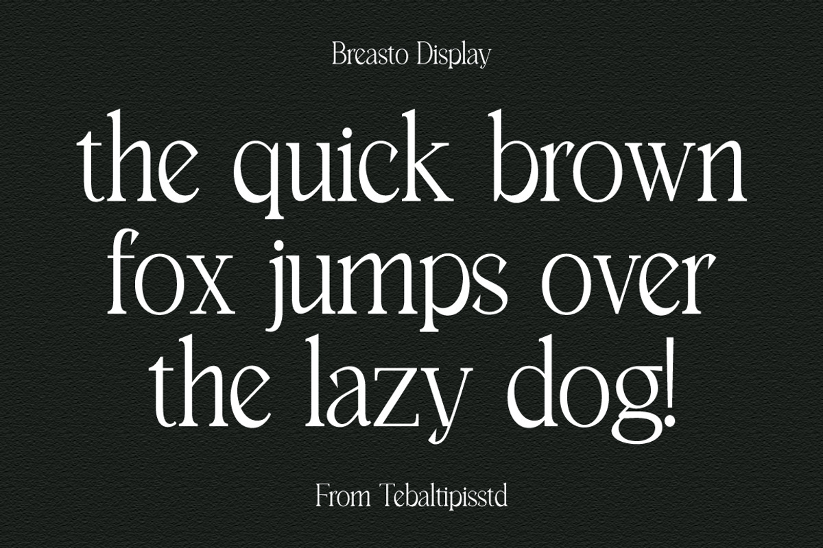 Breasto - Display Serif, a Sans Serif Font by tebaltipislab (Photo 12 of 18)
