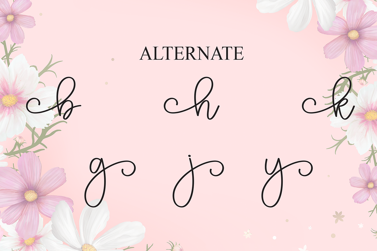 Hailey | Script Font, a Handwritten Font by Scratchones (Photo 8 of 9)