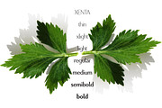 Xenta Sans fonts, a Sans Serif Font by Wiescher Design (Thumbnail 6 of 8)