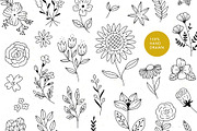 50+ Florals, a Decorative Illustration by Redchocolate (Thumbnail 3 of 6)
