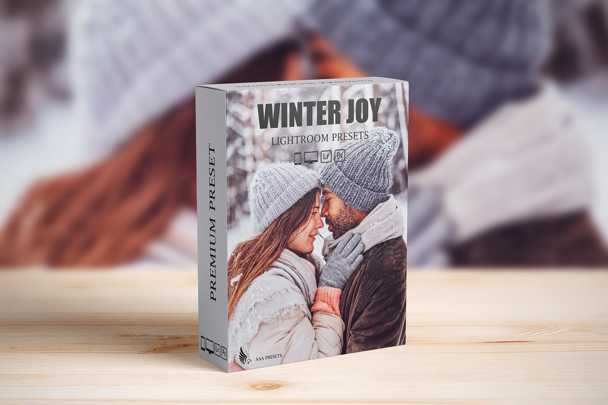 Winter joy Lightroom Presets, a Preset Add-On by AAA Presets (Photo 2 of 17)