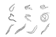 Eel Hand Drawn Illustration Set, an Animal Illustration by SLAB! Design (Thumbnail 3 of 3)