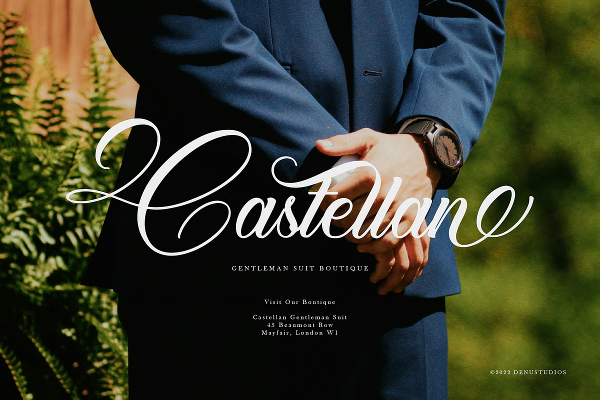 Aurelaydi | Elegant Calligraphy, a Script Font by Denustudios (Photo 6 of 12)