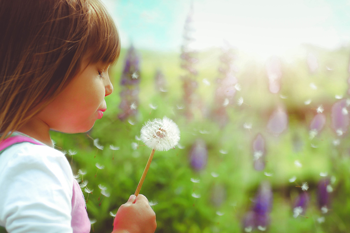 19 Bold Color Matte Portrait Presets, an Action Add-On by Timeless Presets (Photo 8 of 8)