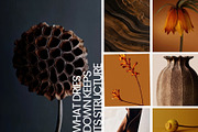 Warm Earth | 290 Earth Tone Photos, a Nature Photo by Tale.Haus (Thumbnail 10 of 18)