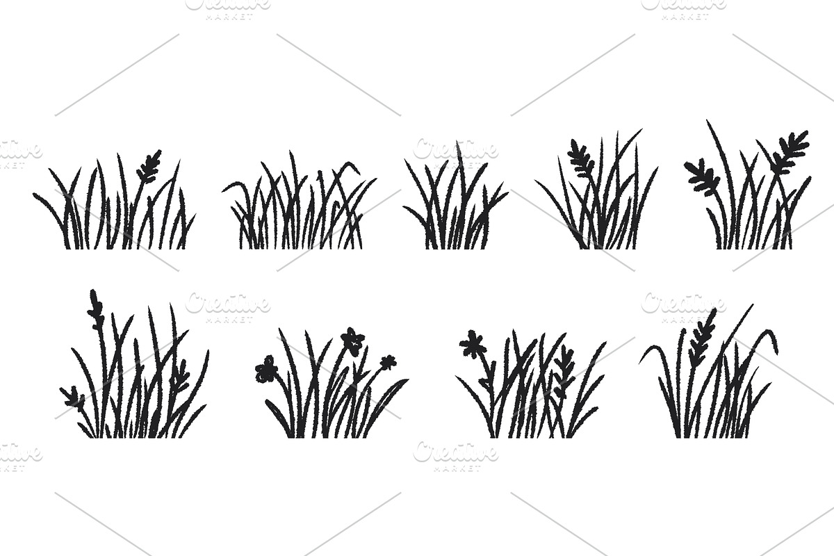 Field grass with flowers, black, an Object Illustration by Tati_Kli