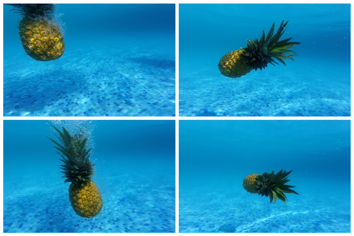 Underwater Pineapple Collection, a Nature Photo by Pineapple Shop (Photo 3 of 4)