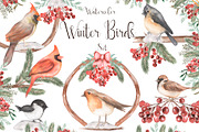 Watercolor Winter Birds Set, an Animal Illustration by MayaNavits (Thumbnail 1 of 5)