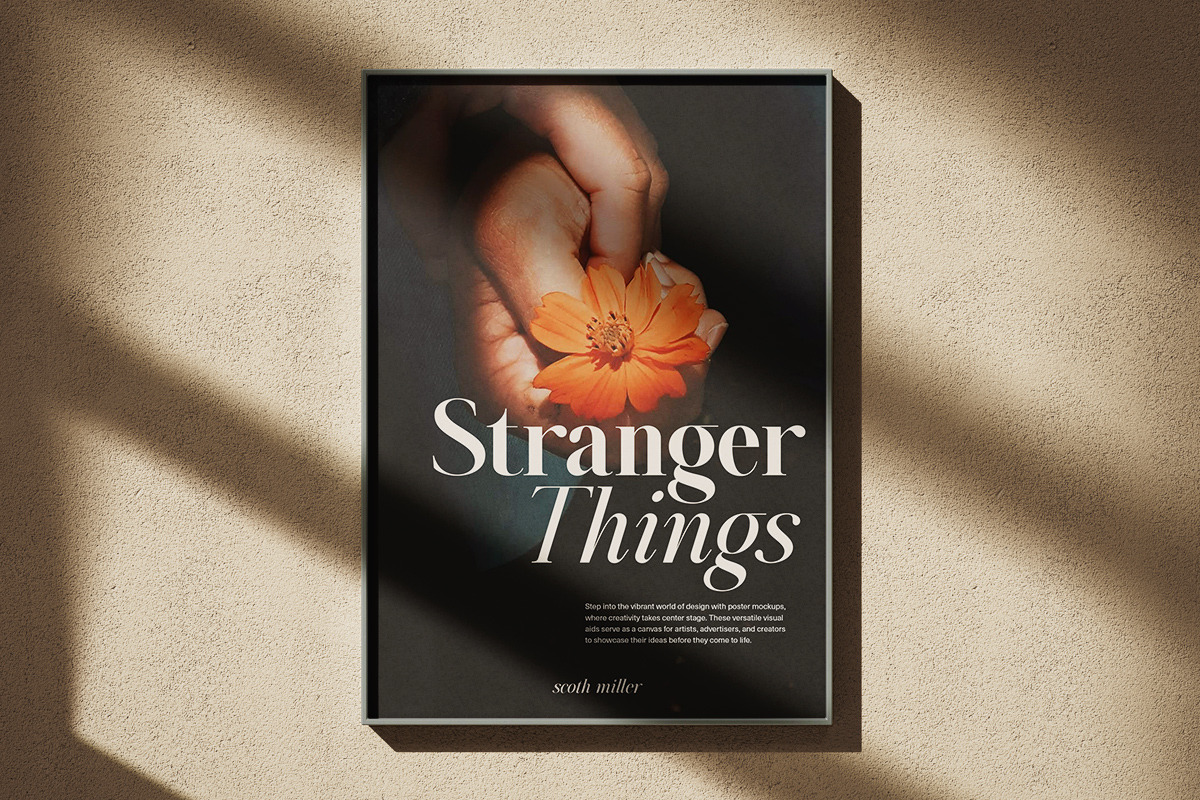 Aumiller Serif Family (18 Fonts), a Serif Font by Positive TypeFoundry (Photo 12 of 15)