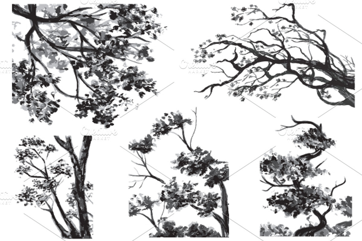 TREES - Drawn Watercolor, an Animal Illustration by BusOne (Photo 1 of 2)