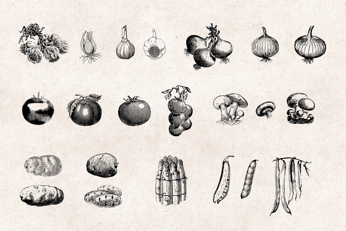 Vegetables Engravings Set, an Object Graphic by Graphic Goods (Photo 4 of 6)