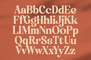 Engray Danton Modern Serif Font, a Serif Font by timelesstype.co (Thumbnail 9 of 20)