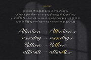 The Beauty Font Bundle | 6 in 1, a Script Font by StoricType (Thumbnail 14 of 23)