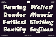 403 Cusion, a Sans Serif Font by 403 Type Foundry (Thumbnail 8 of 16)