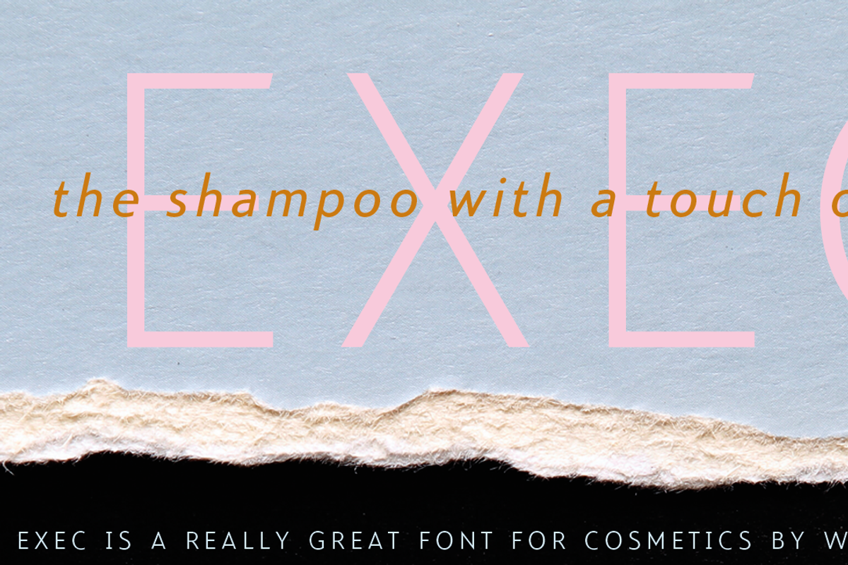 Exec, a Sans Serif Font by Wiescher-Design (Photo 10 of 12)