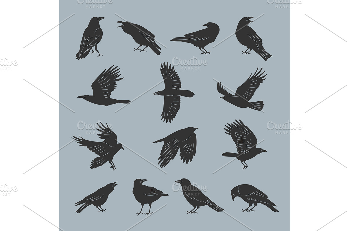 Crow silhouettes. Flying dark, a Background Graphic by Onyx