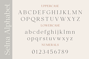 Selna, a Serif Font by Larin Type Co. (Thumbnail 13 of 15)