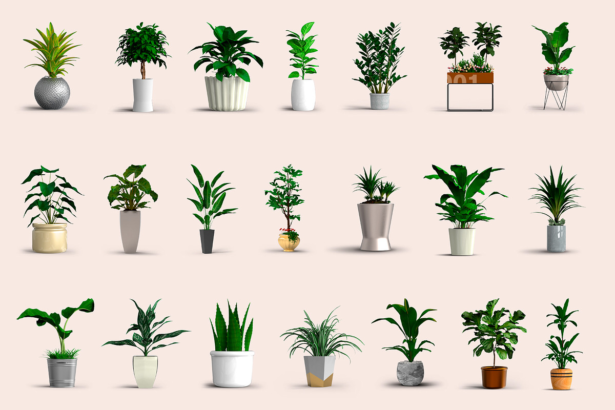 60 PSD Beautiful isolated plants, a Household Mockup by JAZZ STUDIO (Photo 5 of 7)