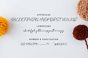 Qinara Font, a Script Font by Zelda Graphic (Thumbnail 6 of 7)