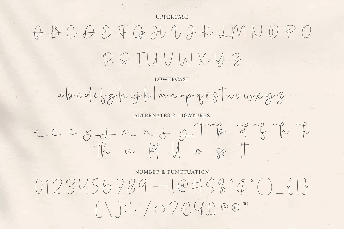 Amichan - Elegant Script, a Script Font by Salamahtype (Photo 9 of 10)