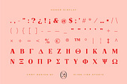 Honor Display, a Serif Font by PiiNK iiNK STUDiO (Thumbnail 3 of 11)